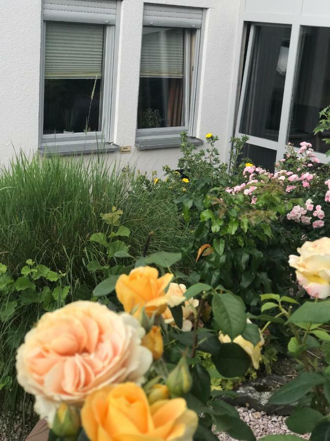 Apartamento Ernst-Ludwig-Promenade Bensheim Exterior foto